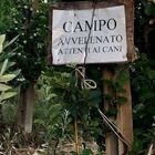 Cani e gatti avvelenati, strage in Abruzzo: scatta la caccia ai killer