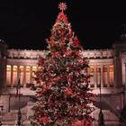 Il ritorno di Spelacchio a Roma: sarà ancora Netflix ad addobbare l'albero di Natale in piazza Venezia