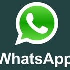 WhatsApp, l'aggiornamento mostra video e foto in anteprima con le notifiche