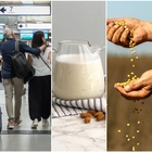 Voli aerei, latte e pasta: cosa è aumentato di più?