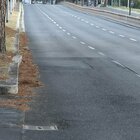 Matteo Orlandi morto a Roma in scooter sulla Colombo, buche e radici sull'asfalto: il sospetto della Procura