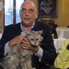 Paolo Brosio e il gatto della madre che perde sangue in diretta tv: il giornalista sotto choc