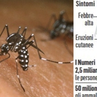 Dengue, cresce l'allarme: oltre 1,5 milioni di casi. Sintomi simili alla chikungunya, anche la zika rialza la testa
