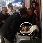 Gatto ucciso a bastonate, il sindaco non partecipa alla manifestazione dagli animalisti: minacciato di morte
