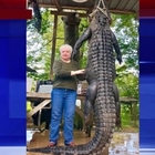 Alligatore di 4 metri uccide il suo cavallo, nonna lo fa fuori a fucilate