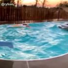 Terremoto in California, la piscina sembra un mare in burrasca