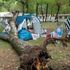 Bambina morta a Marina di Massa: albero cade su tenda campeggio. Ferite le due sorelle, una è grave. Illesi i genitori