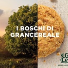 World Rainforest Day: Gran Cereale ripristina sei aree boschive italiane