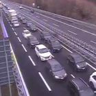 immagine Albero contro le auto sulla A1: 13 chilometri di coda in Valdichiana