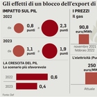 Gas russo, il Def: senza l’Italia va in recessione