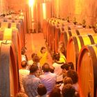 Dal “taglio” al calice: la sfida senza tempo tra Primitivo e Negroamaro Dal “taglio” al calice: la sfida senza tempo tra Primitivo e Negroamaro