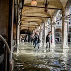 Venezia allagata, scuole chiuse oggi per l'allerta rossa: si teme marea a 145 cm. Stop alle lezioni in molti comuni