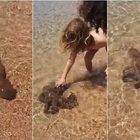 Sardegna, il polpo si spinge fino a riva per farsi accarezzare dai bimbi