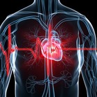 Pronto il cuore bionico: è fatto di tessuti biologici per testare le valvole cardiache