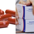 Paxlovid, il farmaco anti-Covid in Italia: chi lo prescrive, quando si può prendere e come funziona (10 domande e risposte)