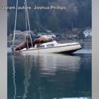 Usa: leoni marini in relax su una barca a vela, l'imbarcazione rischia di affondare