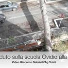 Roma, albero caduto sulla scuola Ovidio alla Balduina