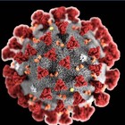 Coronavirus, la lezione della pandemia verrà risolta con gli scanner