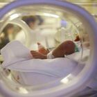 Bambino nasce con due peni perfettamente funzionanti, il caso rarissimo di diphallia: le probabilità sono 1 su sei milioni