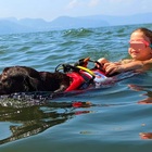 Cani bagnino salvano due bambini e il papà dalle onde a Savona. «Yuma e Max sono degli eroi»