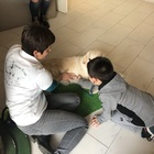 Pet therapy, a Orvieto il primo centro autorizzato in Umbria per la formazione degli operatori: a settembre via ai corsi