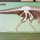 Scoperto in Lombardia il dinosauro grande più antico del mondo