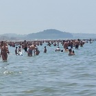 immagine Litorale domizio: rincari sotto l'ombrellone: «Mare «salato»? Ci sono lidi per tutti i gusti»