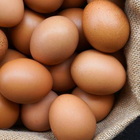 Le uova fanno ingrassare? Ecco come mangiarle. Troppo colesterolo e calorie? Vero o falso