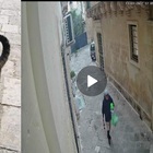 Lecce, uccide a calci un gatto randagio. Il sindaco: «Lo identificheremo». L'aggressore ripreso dalle telecamere