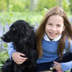 Charlotte di Cambridge compie 7 anni, le foto scattate da mamma Kate Middleton