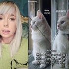 Influencer paga 25mila dollari per clonare il gatto
