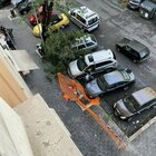 Roma, ancora alberi crollati: da via Sanzeno a via Gortani diverse le segnalazioni