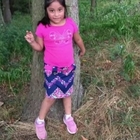 Bimba di 5 anni scomparsa. «Un uomo l'ha presa in un parco»