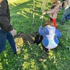 Narni, un nuovo albero per ogni bambino nato nel 2022 nei quartieri di Miriano, Santa Lucia e Berardozzo