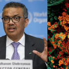 Coronavirus, l'Oms: «Non è un'epidemia stagionale, ci sarà un'unica ondata»