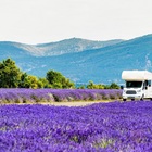 Slow Travel fra le più belle fioriture d'Italia, ecco i 7 itinerari top da vedere e gustare "on the road"