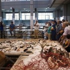 Furbetti dal cartellino al mercato del pesce di Pozzuoli: indagati 12 comunali e 3 lsu