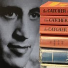 Salinger, decine gli scritti ancora inediti, il figlio: «Entro 10 anni saranno  pubblicati»