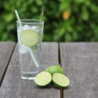 Bere gin tonic può ridurre i sintomi delle allergie