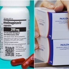 Paxlovid e pillola Merck: come funzionano 