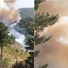 Aspromonte, gli incendi minacciano le Faggete patrimonio dell'Unesco