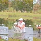 Florida, si tuffa per salvare il suo cucciolo dalle fauci dell’alligatore