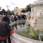 Pescegatto gigante abbandonato nella fontana di Genzano: il pesce dà spettacolo