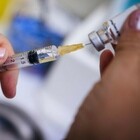 Coronavirus, il vaccino della Pfizer alla fase 3: test su 30mila pazienti. Passi avanti anche in Cina: «Induce anticorpi neutralizzanti»