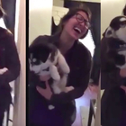 Il cucciolo di husky “canta” una canzone: i versi fanno sbellicare dalle risate gli amici umani