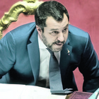 Salvini attacca: «Irregolare e condannato, roba da matti»
