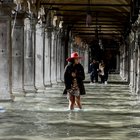 «Venezia, basta chiacchiere»: da Armani a Pellegrini e Ventura l'indignazione dei vip