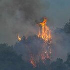 Sardegna devastata dagli incendi, 4 Canadair da Francia e Grecia. Animali morti e ripetitori bruciati