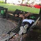 Milano, degrado, bivacchi, sesso: giardini di quartiere fuori controllo