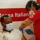 Vaccino, Gimbe: «Oltre 3 milioni e mezzo di ultra cinquantenni ancora scoperti: Sicilia, Calabria e Bolzano in testa»